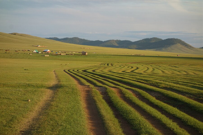 Klicke auf die Grafik für eine vergrößerte Ansicht  Name: mongolei007.jpg Ansichten: 0 Größe: 138,7 KB ID: 3294576