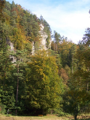Klicke auf die Grafik für eine vergrößerte Ansicht

Name: 100_5993.jpg
Ansichten: 87
Größe: 91,3 KB
ID: 3295161