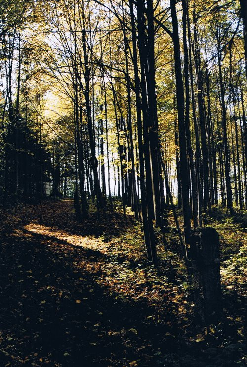 Klicke auf die Grafik für eine vergrößerte Ansicht

Name: 7Kreuzweg.jpg
Ansichten: 81
Größe: 216,3 KB
ID: 3295452