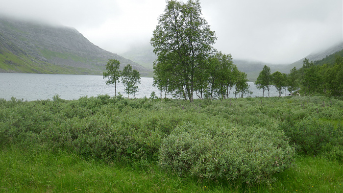 Klicke auf die Grafik für eine vergrößerte Ansicht  Name: Norwegen011.jpg Ansichten: 0 Größe: 758,6 KB ID: 3295539