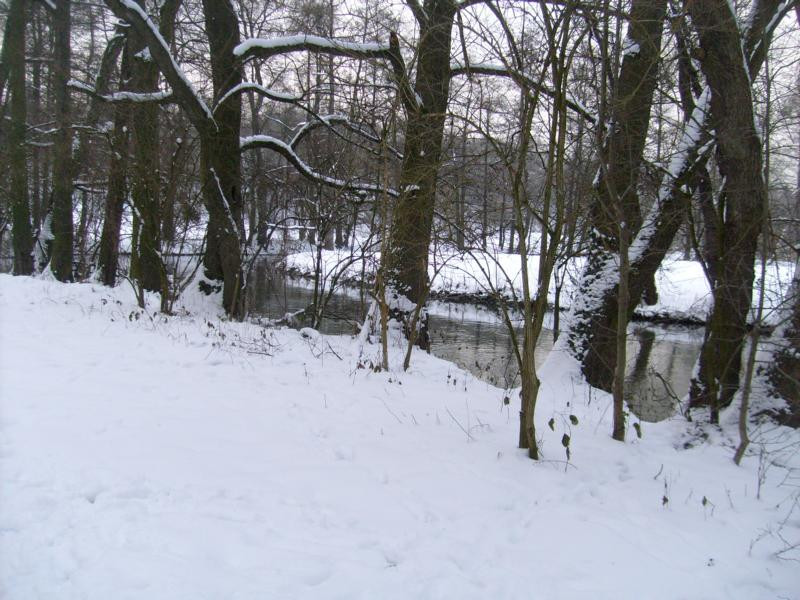 Klicke auf die Grafik für eine vergrößerte Ansicht  Name: S7300019K.jpg Ansichten: 0 Größe: 143,6 KB ID: 3296493
