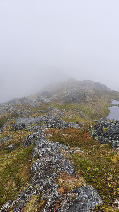 Klicke auf die Grafik für eine vergrößerte Ansicht

Name: 2022-09 Lappland, Skjomen - Storå, 193.jpg
Ansichten: 371
Größe: 707,2 KB
ID: 3296543