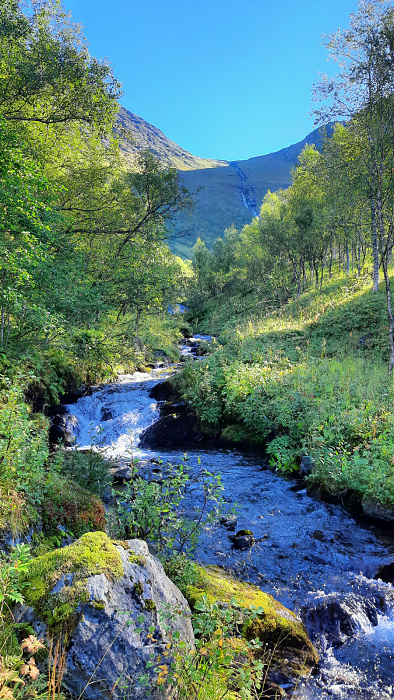 Klicke auf die Grafik für eine vergrößerte Ansicht

Name: 2022-09 Lappland, Skjomen - Storå, 264.jpg
Ansichten: 309
Größe: 1,18 MB
ID: 3296884