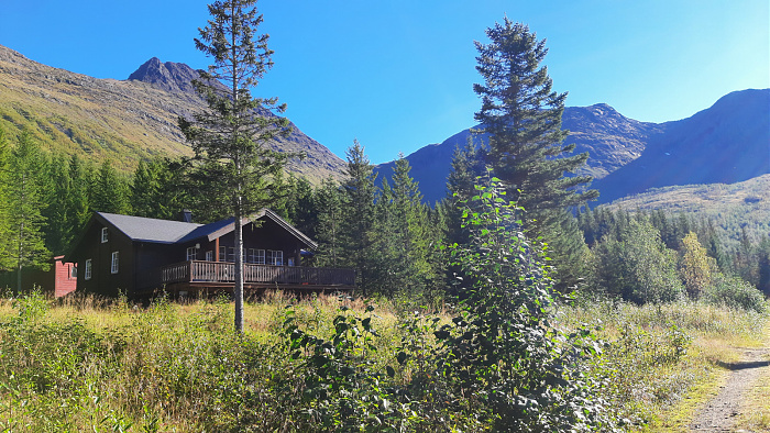 Klicke auf die Grafik für eine vergrößerte Ansicht

Name: 2022-09 Lappland, Skjomen - Storå, 266.jpg
Ansichten: 307
Größe: 1,02 MB
ID: 3296886