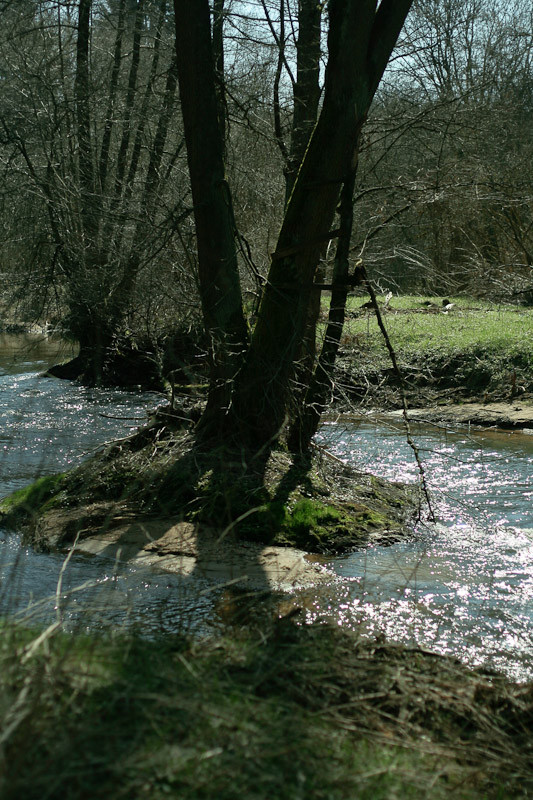 Klicke auf die Grafik für eine vergrößerte Ansicht

Name: MG_4899.jpg
Ansichten: 158
Größe: 199,6 KB
ID: 3296912