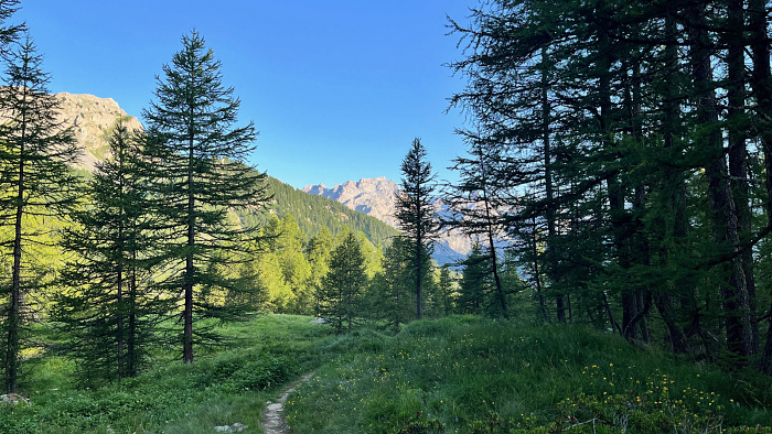 Klicke auf die Grafik für eine vergrößerte Ansicht  Name: 2024-07 Westalpen - 2651 von 2670.jpg Ansichten: 0 Größe: 966,5 KB ID: 3296974