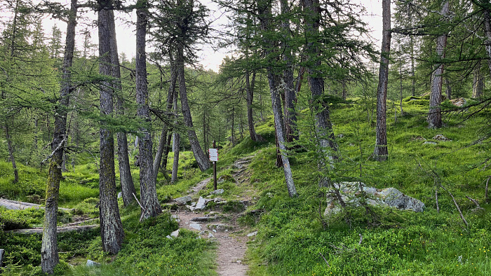 Klicke auf die Grafik für eine vergrößerte Ansicht  Name: 2024-07 Westalpen - 2650 von 2670.jpg Ansichten: 0 Größe: 1,15 MB ID: 3296975