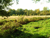 Klicke auf die Grafik für eine vergrößerte Ansicht  Name: DSCF0061.jpg Ansichten: 45 Größe: 1,46 MB ID: 3297143