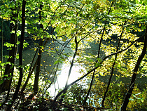 Klicke auf die Grafik für eine vergrößerte Ansicht  Name: DSCF0048.jpg Ansichten: 46 Größe: 1,63 MB ID: 3297144