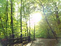 Klicke auf die Grafik für eine vergrößerte Ansicht  Name: DSCF0043.jpg Ansichten: 46 Größe: 1,27 MB ID: 3297146
