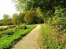 Klicke auf die Grafik für eine vergrößerte Ansicht  Name: DSCF0062.jpg Ansichten: 46 Größe: 1,71 MB ID: 3297147