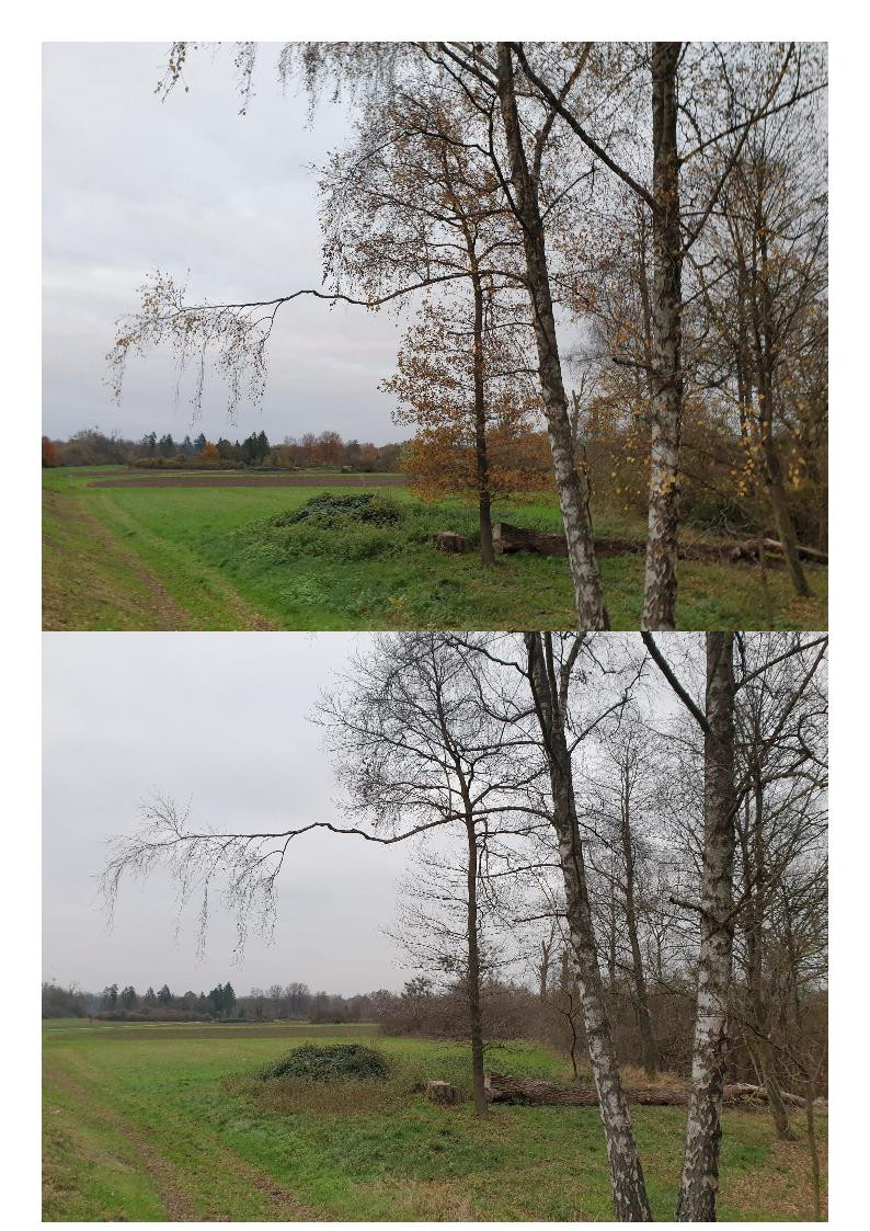 Klicke auf die Grafik für eine vergrößerte Ansicht  Name: Nov_Dez_12.jpg Ansichten: 0 Größe: 330,3 KB ID: 3299048