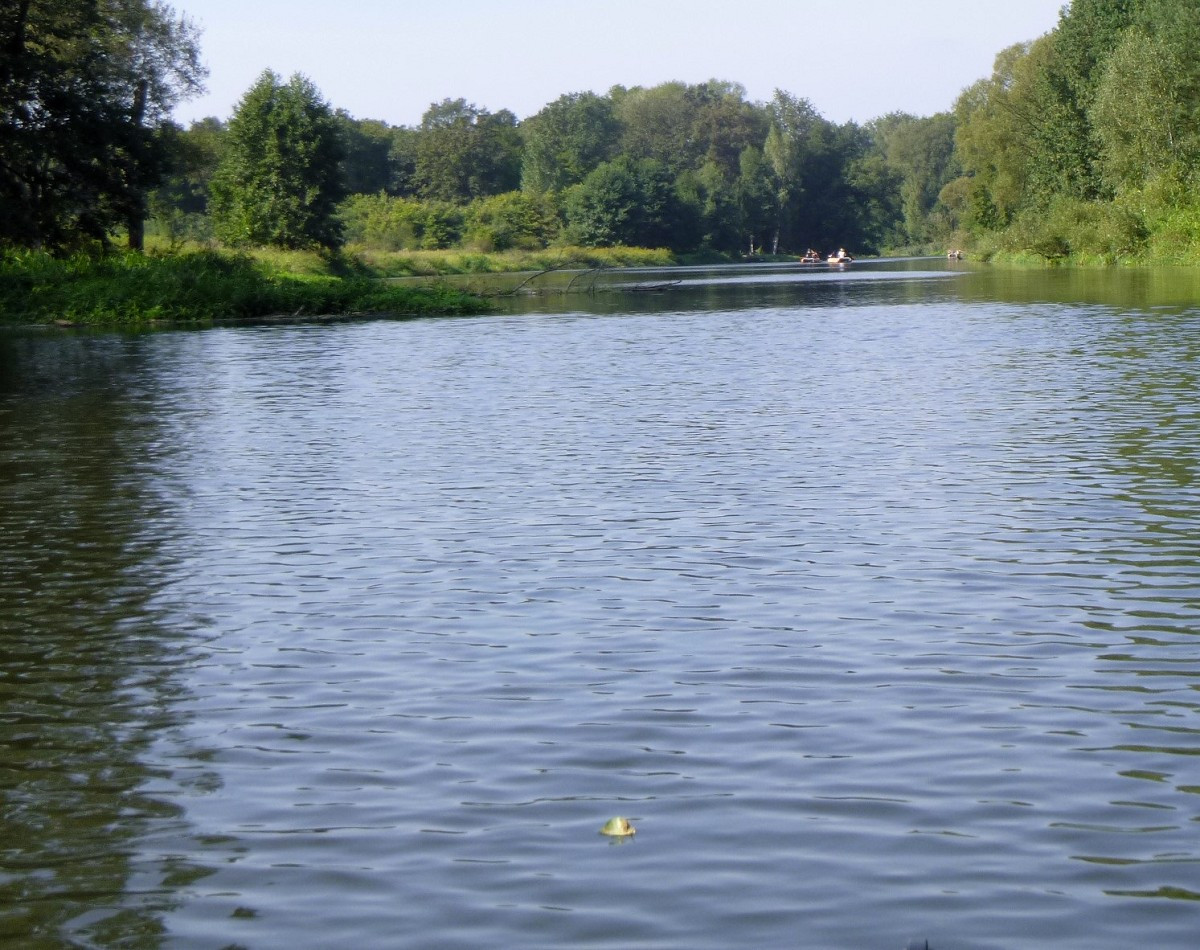 Klicke auf die Grafik für eine vergrößerte Ansicht  Name: 06j.jpg Ansichten: 0 Größe: 328,6 KB ID: 3299242