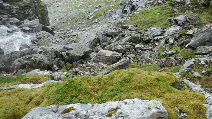 Klicke auf die Grafik für eine vergrößerte Ansicht

Name: Norwegen096.jpg
Ansichten: 424
Größe: 928,6 KB
ID: 3299509