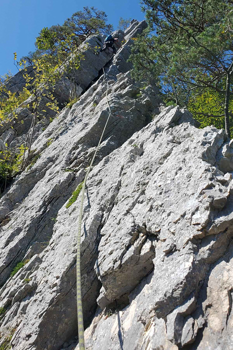 Klicke auf die Grafik für eine vergrößerte Ansicht

Name: arete-faucon_8SL.jpg
Ansichten: 298
Größe: 989,2 KB
ID: 3301586