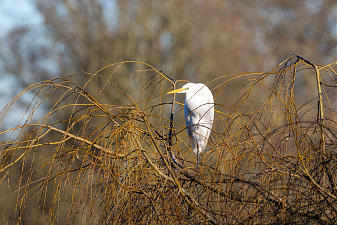 Klicke auf die Grafik für eine vergrößerte Ansicht

Name: _DSC2897.jpg
Ansichten: 521
Größe: 1.014,0 KB
ID: 3302217