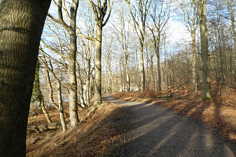 Klicke auf die Grafik für eine vergrößerte Ansicht

Name: 20250109094839.jpg
Ansichten: 151
Größe: 1,03 MB
ID: 3304623