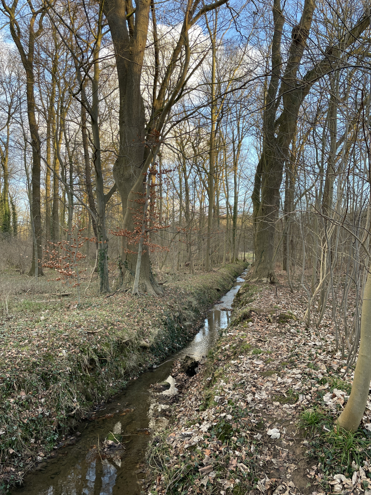 Klicke auf die Grafik für eine vergrößerte Ansicht  Name: 02 (2).jpg Ansichten: 0 Größe: 1,61 MB ID: 3305247