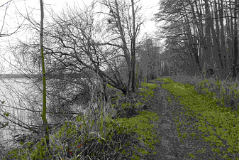 Klicke auf die Grafik für eine vergrößerte Ansicht

Name: Witten04.jpg
Ansichten: 139
Größe: 225,3 KB
ID: 3306078