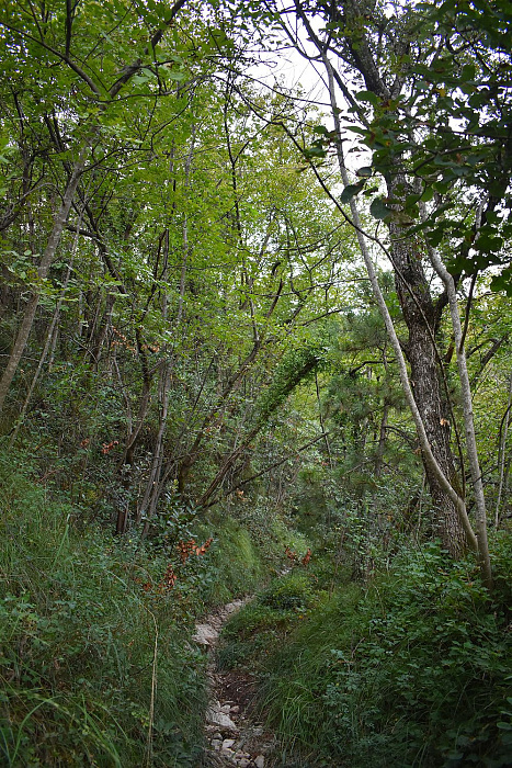 Klicke auf die Grafik für eine vergrößerte Ansicht  Name: DSC_0831.jpg Ansichten: 0 Größe: 936,3 KB ID: 3311561