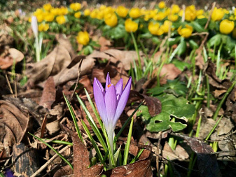 Klicke auf die Grafik für eine vergrößerte Ansicht

Name: IMG_20250219_131153_DRO~01~01.jpg
Ansichten: 261
Größe: 173,9 KB
ID: 3312356