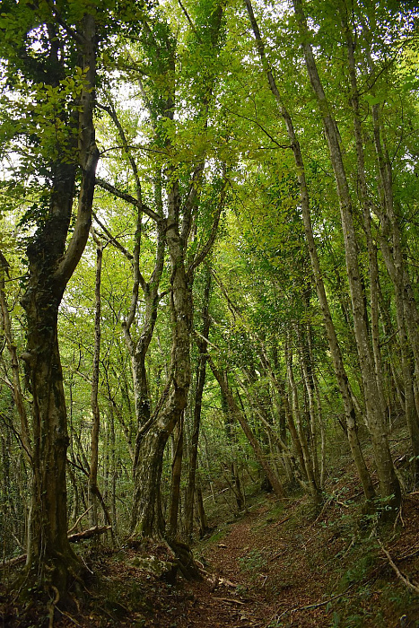 Klicke auf die Grafik für eine vergrößerte Ansicht  Name: DSC_0023.jpg Ansichten: 0 Größe: 932,0 KB ID: 3312552