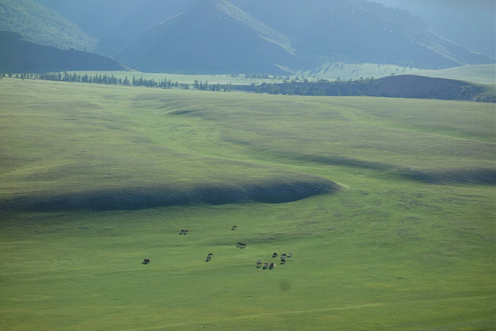Klicke auf die Grafik für eine vergrößerte Ansicht

Name: mongolei072.jpg
Ansichten: 531
Größe: 162,3 KB
ID: 3313366