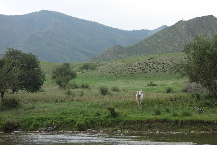 Klicke auf die Grafik für eine vergrößerte Ansicht

Name: mongolei077.jpg
Ansichten: 529
Größe: 254,4 KB
ID: 3313375