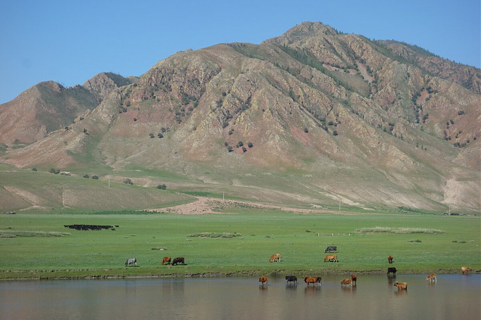 Klicke auf die Grafik für eine vergrößerte Ansicht

Name: mongolei086.jpg
Ansichten: 530
Größe: 229,3 KB
ID: 3313384