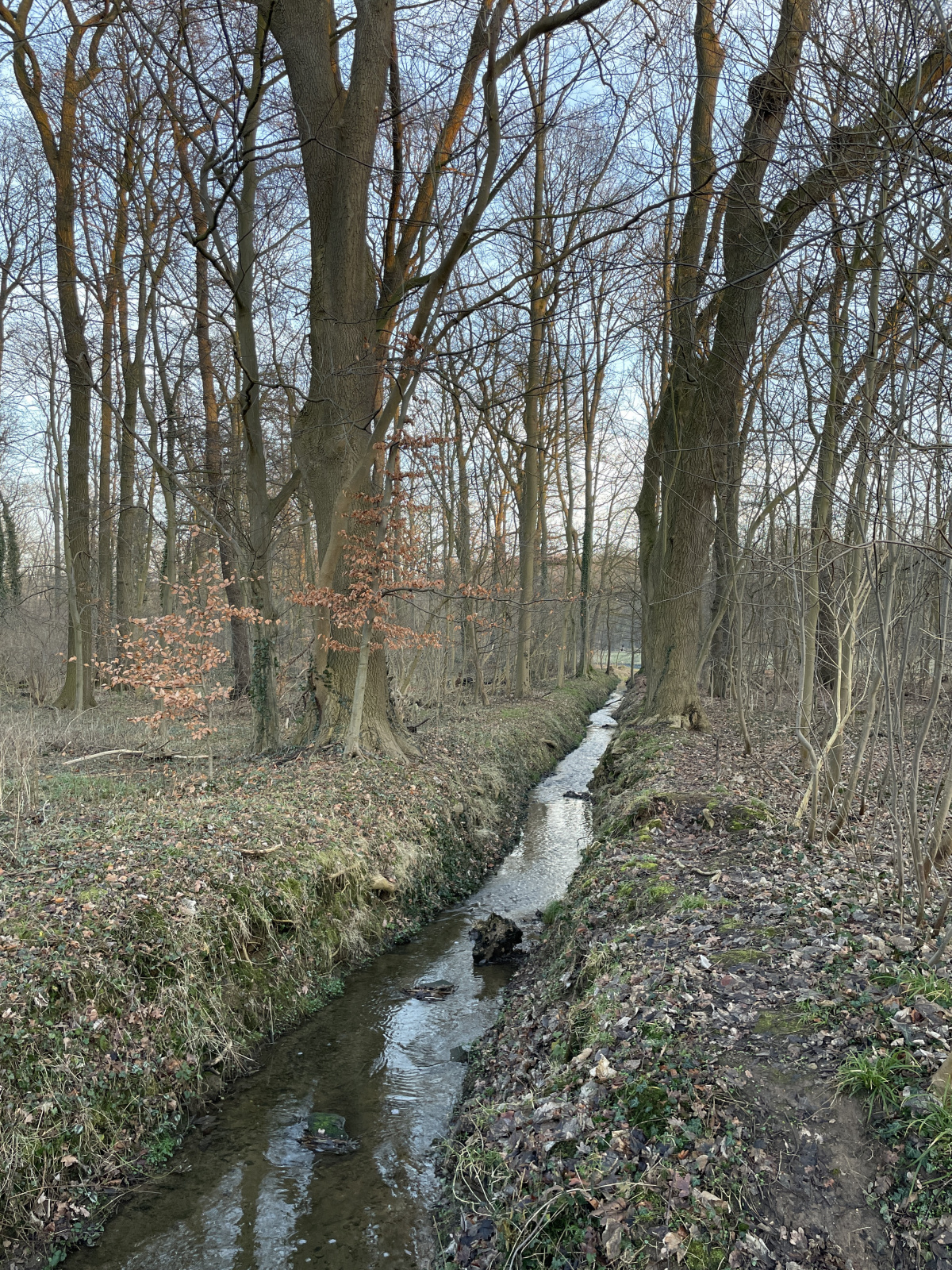 Klicke auf die Grafik für eine vergrößerte Ansicht  Name: 02 (1).jpg Ansichten: 56 Größe: 1,60 MB ID: 3314244