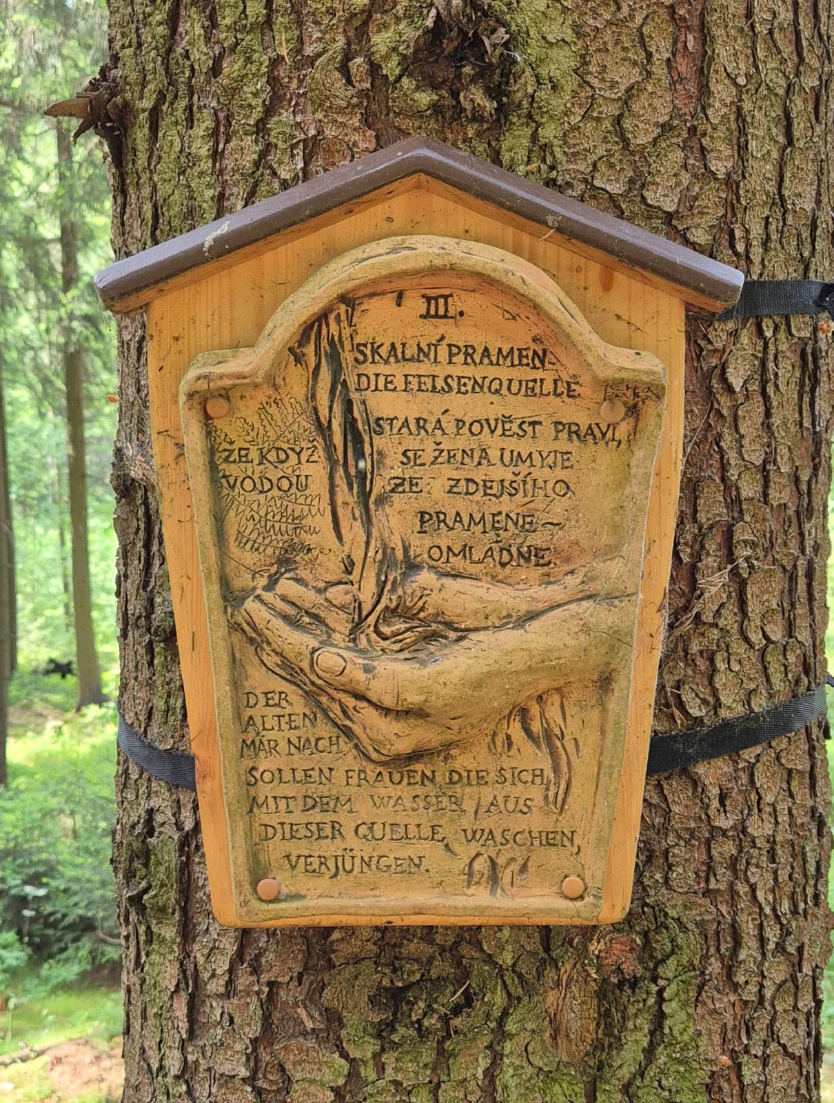 Klicke auf die Grafik für eine vergrößerte Ansicht

Name: 6.jpg
Ansichten: 367
Größe: 1,18 MB
ID: 3316735