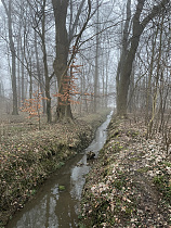 Klicke auf die Grafik für eine vergrößerte Ansicht  Name: 02 (01).jpg Ansichten: 22 Größe: 1,41 MB ID: 3320987