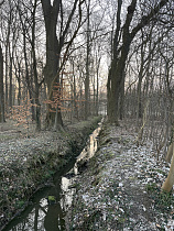Klicke auf die Grafik für eine vergrößerte Ansicht  Name: 02 (02).jpg Ansichten: 23 Größe: 1,50 MB ID: 3320988