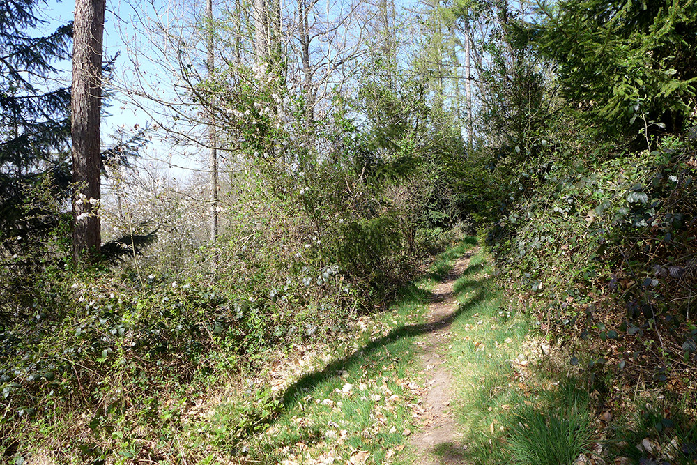 Klicke auf die Grafik für eine vergrößerte Ansicht  Name: Weserberglandweg_551.jpg Ansichten: 0 Größe: 576,0 KB ID: 3321411