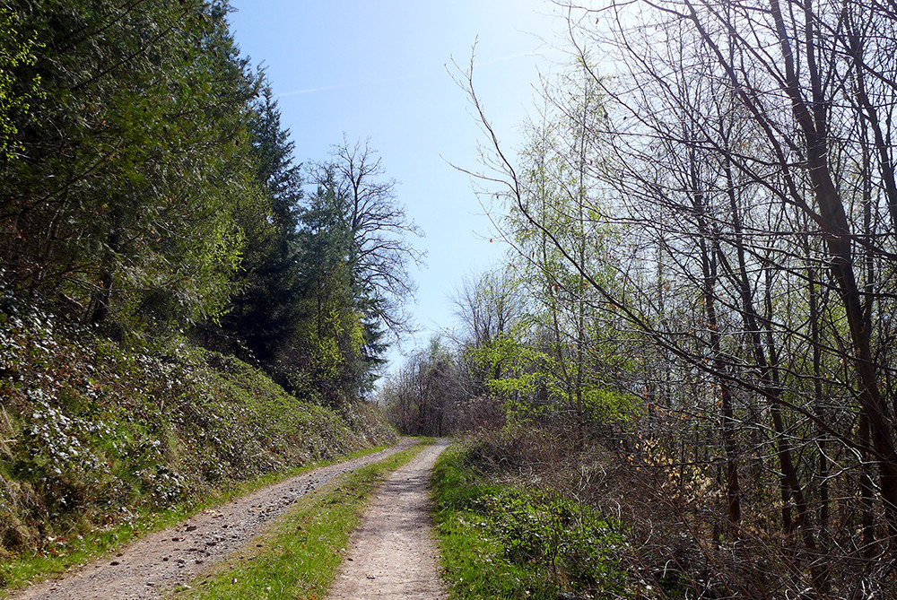 Klicke auf die Grafik für eine vergrößerte Ansicht  Name: Weserberglandweg_553.jpg Ansichten: 0 Größe: 480,2 KB ID: 3321413