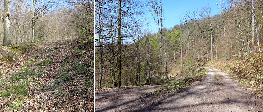 Klicke auf die Grafik für eine vergrößerte Ansicht  Name: Weserberglandweg_555.jpg Ansichten: 0 Größe: 316,6 KB ID: 3321415