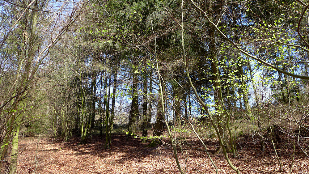 Klicke auf die Grafik für eine vergrößerte Ansicht  Name: Weserberglandweg_556.jpg Ansichten: 0 Größe: 505,0 KB ID: 3321416