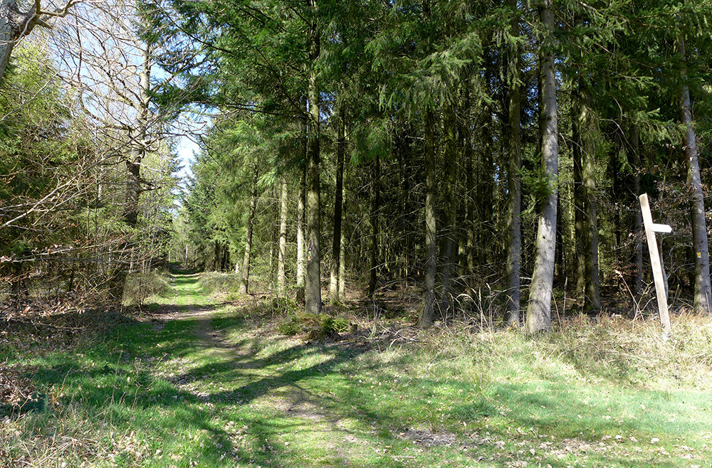 Klicke auf die Grafik für eine vergrößerte Ansicht  Name: Weserberglandweg_558.jpg Ansichten: 0 Größe: 484,9 KB ID: 3321418