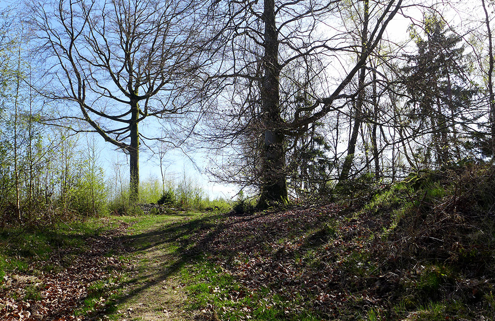 Klicke auf die Grafik für eine vergrößerte Ansicht  Name: Weserberglandweg_563.jpg Ansichten: 0 Größe: 539,2 KB ID: 3321449