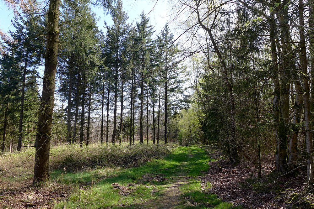 Klicke auf die Grafik für eine vergrößerte Ansicht  Name: Weserberglandweg_564.jpg Ansichten: 0 Größe: 481,5 KB ID: 3321450