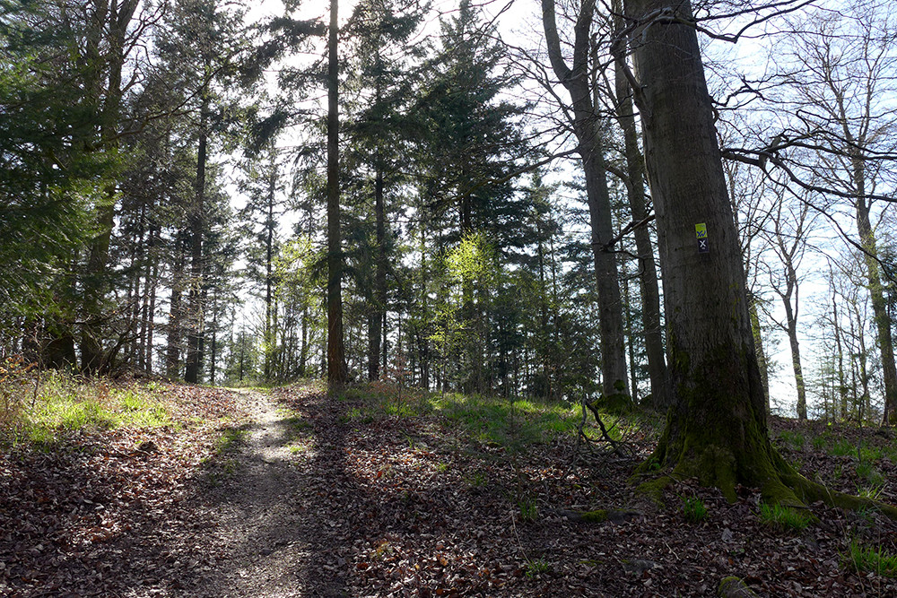 Klicke auf die Grafik für eine vergrößerte Ansicht  Name: Weserberglandweg_566.jpg Ansichten: 0 Größe: 464,9 KB ID: 3321452