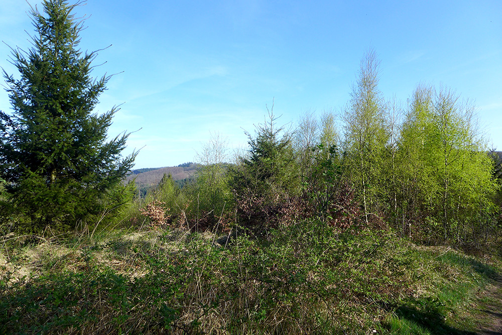 Klicke auf die Grafik für eine vergrößerte Ansicht  Name: Weserberglandweg_568.jpg Ansichten: 0 Größe: 401,4 KB ID: 3321454