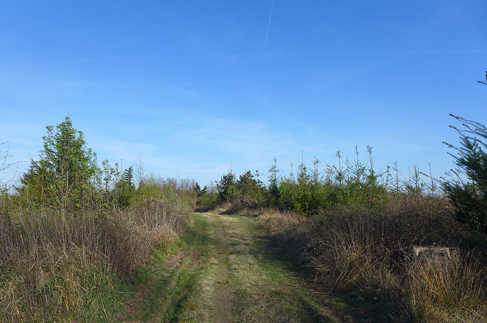 Klicke auf die Grafik für eine vergrößerte Ansicht  Name: Weserberglandweg_573.jpg Ansichten: 0 Größe: 257,8 KB ID: 3321457