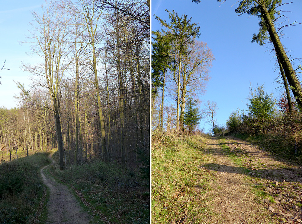 Klicke auf die Grafik für eine vergrößerte Ansicht  Name: Weserberglandweg_576.jpg Ansichten: 0 Größe: 479,3 KB ID: 3321461