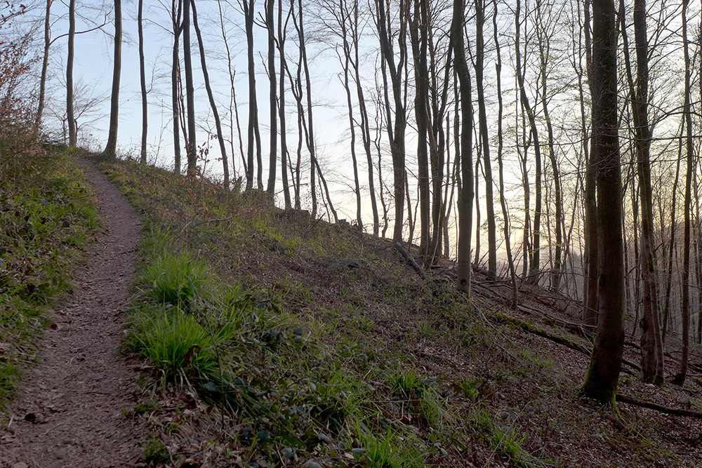 Klicke auf die Grafik für eine vergrößerte Ansicht  Name: Weserberglandweg_580.jpg Ansichten: 0 Größe: 416,7 KB ID: 3321466