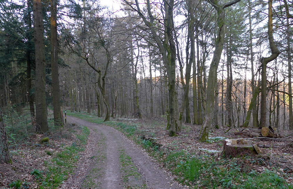 Klicke auf die Grafik für eine vergrößerte Ansicht  Name: Weserberglandweg_578.jpg Ansichten: 0 Größe: 406,5 KB ID: 3321468