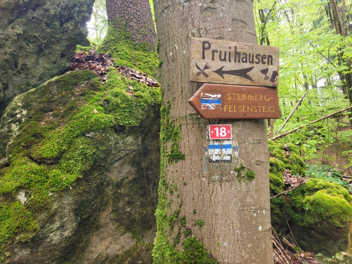 Klicke auf die Grafik für eine vergrößerte Ansicht

Name: 20250424_132343.jpg
Ansichten: 52
Größe: 217,6 KB
ID: 3323560