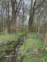 Klicke auf die Grafik für eine vergrößerte Ansicht

Name: 02 (02).jpg
Ansichten: 61
Größe: 1,64 MB
ID: 3323687