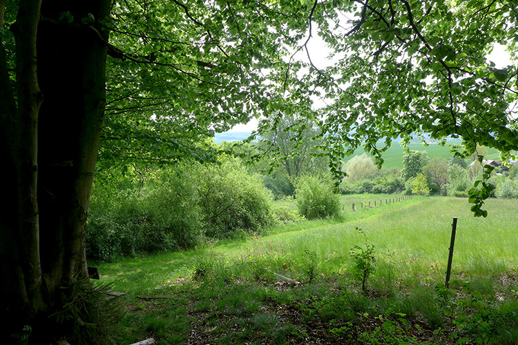 Klicke auf die Grafik für eine vergrößerte Ansicht  Name: Weserberglandweg_589.jpg Ansichten: 0 Größe: 248,1 KB ID: 3324471