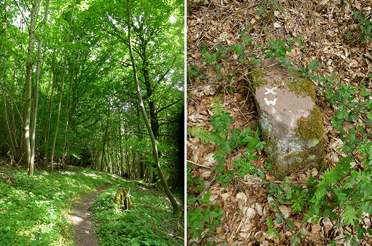 Klicke auf die Grafik für eine vergrößerte Ansicht  Name: Weserberglandweg_601.jpg Ansichten: 0 Größe: 330,0 KB ID: 3324480